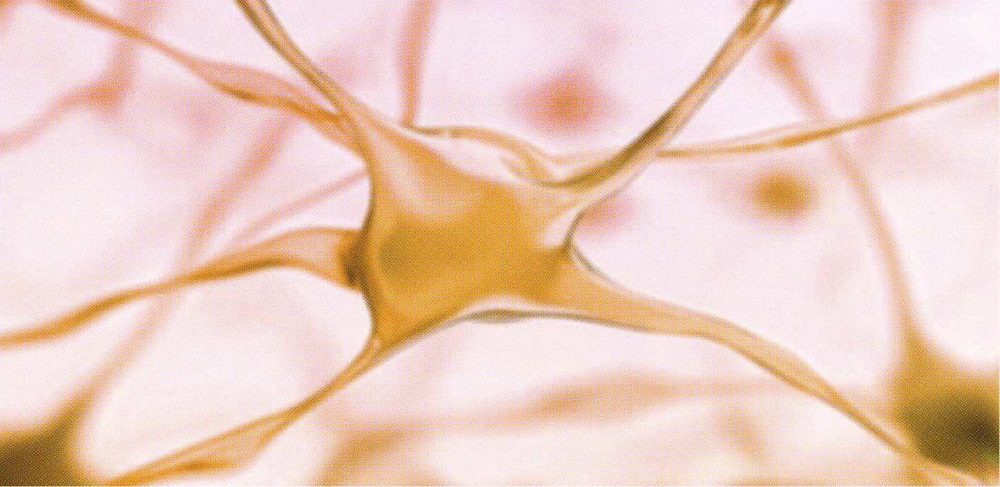 Microscopic close-up of a neuron with dendrites extending outward on a pale background.